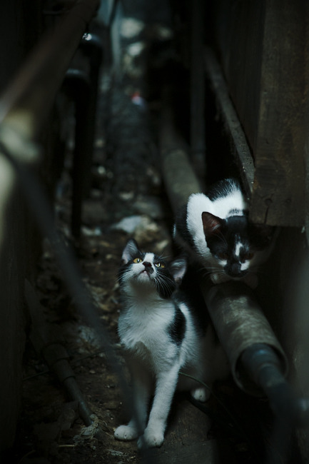 阿森纳边锋回撤参与中场构建,阿森纳边卫