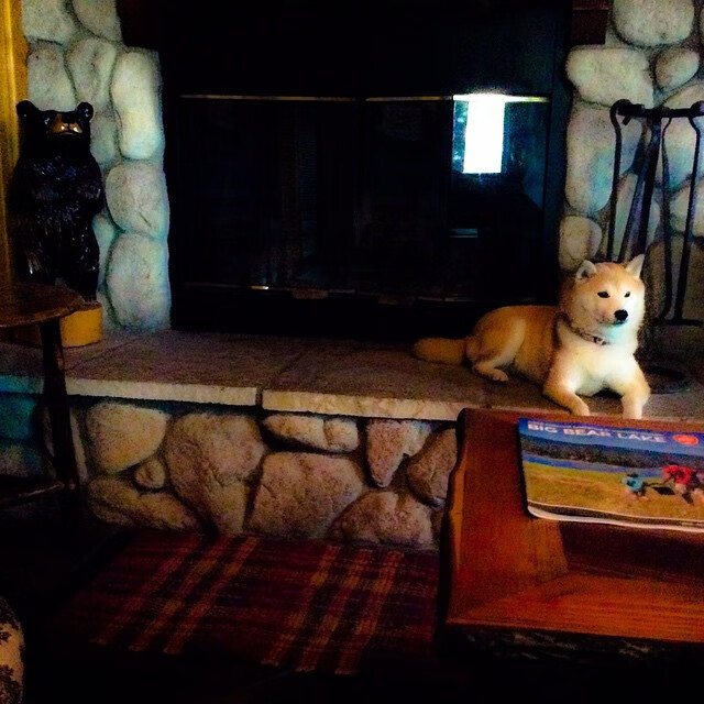 大学生体育锻炼行为特征与干预机制研究，大学生体育锻炼行为的行动阶段