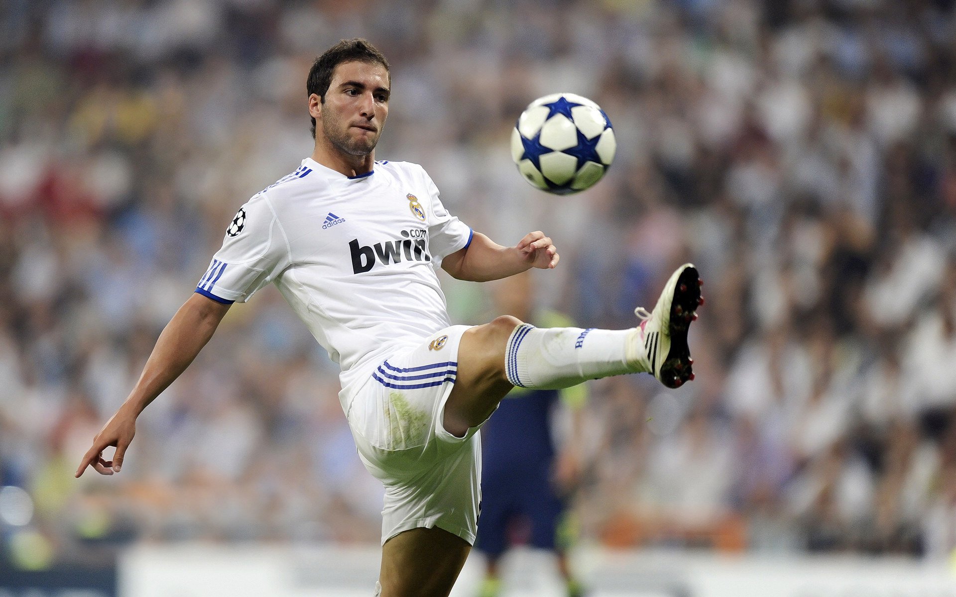 开云下载-19岁荷兰新带刀后卫荷甲横空出世5大欧洲豪门疯抢，荷兰足球后卫