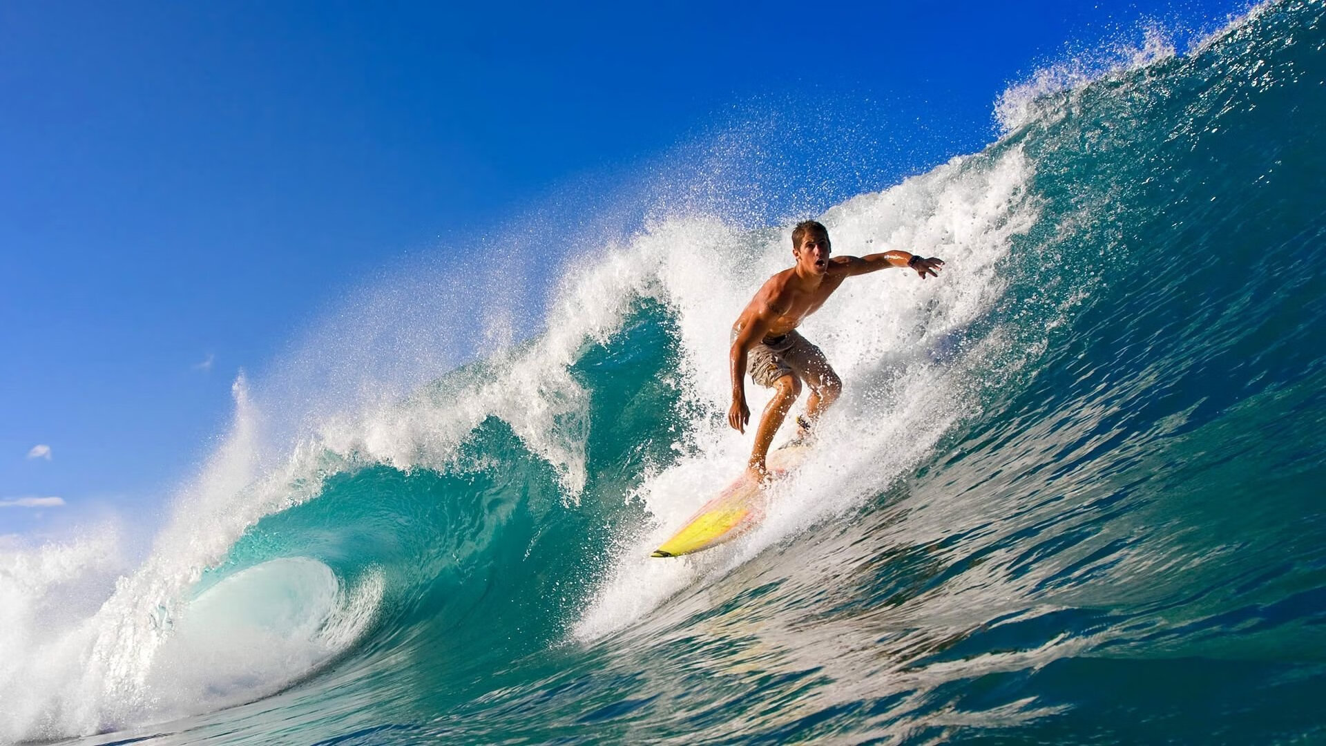 全国游泳冠军赛女子400米自由泳 李冰洁半程确立优势轻松夺金,女子400米自由泳颁奖